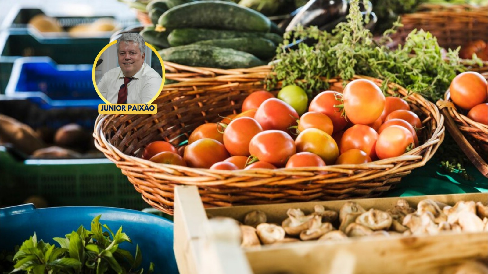 Aprovada na Câmara Municipal indicação legislativa para combater desertos alimentares