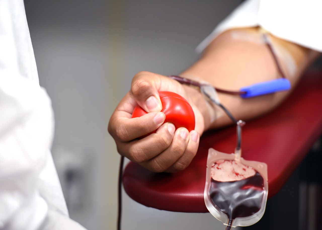 Câmara Municipal promove campanha de doação de sangue